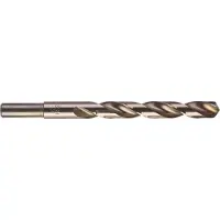 Milwaukee METAALBOOR HSS-G THUNDERWEB 12 X 151 MM (5 STUKS)