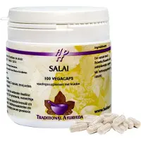 Holisan Salai