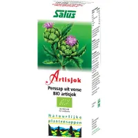 Salus Sap Artisjok 200 ml