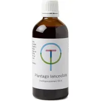Therapeutenwinkel Plantago lanceolata
