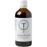 Therapeutenwinkel Salvia triloba