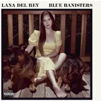 Universal Music Lana Del Rey - Blue Banisters (CD)