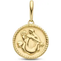 New Bling 9NBG-0276 Gouden Sterrenbeeld - Waterman - 10mm Doorsnee - 14 Karaat - Goud