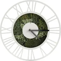 STEELLISH Wandklok MOSS Clock XI | staal groen 50x50x8 cm wandklokken | NADUVI