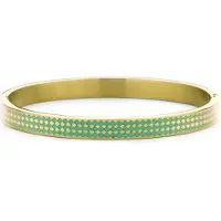 CO88 Collection 8CB-91208 Stalen Armband met Emaille - Bangle - 6mm - 58x49mm - Staal - Groen - Goudkleurig