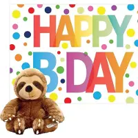 Keel Toys Pluche dieren knuffel luiaard 14 cm met Happy Birthday wenskaart - Knuffeldier