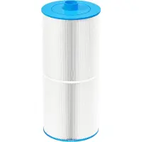 W'eau spafilter type 8 (o.a. SC708 of C-8326)