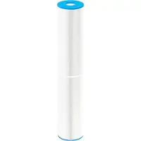 W'eau spafilter type 69 (o.a. SC769 of C-5351)