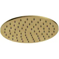 Hotbath Archie AR198 hoofddouche 20cm rond geborsteld messing PVD