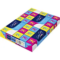 Color Copy Laser A3 Kopieerpapier 160 g/m² Satijn Wit 160 CIE 250 Vellen