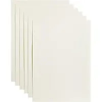 Papicolor - Kopieerpapier A4 200gr 6vel anjerwit