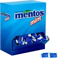Mentos Snoep Mentos meeting mint 700 stuks