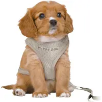 Trixie Junior Puppy-Softtuig met Riem