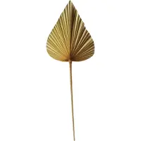 Mars & More Palmblad/ tak - Gedroogd - Puntig - 40x20cm -