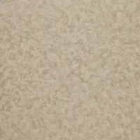 Dutch Wallcoverings FC Murals Torso 19-Nickel- vliesbehang - 10m x 53cm