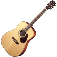 Cort Earth 100 Natural Satin westerngitaar