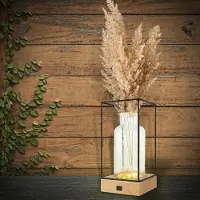 Happy Life Sfeervolle Tafellamp - Draadloze LED Vaaslamp - Glazen Vaas - Industrieel Design - 26 x Ø13 cm - Ideaal Cadeau voor Haar
