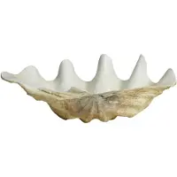 Nordal Kichi decoratie schelp