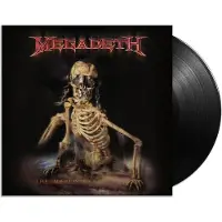 Universal Music Megadeth - The World Needs A Hero (2 LP) (Remastered)