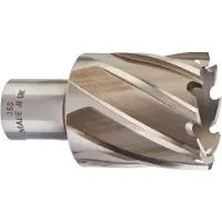 Milwaukee FREESKROON HSS 35 X 30 MM