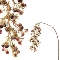 Coppens Berry plant rasberry hanging spray |