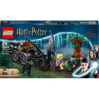 LEGO 76400 LEGO Zweinstein Rijtuig en Thestralissen