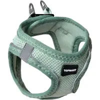 Topmast Airmesh Hondentuig - Click & Go - Mint - L - Reflecterend - Harnas Hond - Hondentuigje - Hondenharnas - Voor Puppy, Kleine, Medium en Grote Hond
