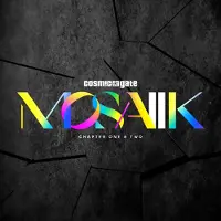 Bertus France Cnt MOSAIIK