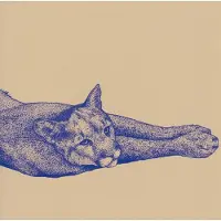 Konkurrent Koen Holtkamp - Field Rituals (CD)