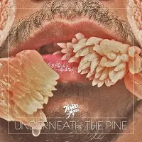 Konkurrent Toro Y Moi - Underneath The Pine (CD)