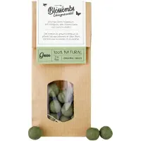 Blossombs Zaadbommetjes in Kraft Zak - 50 Bloembommetjes - Bosgroen - Cadeau voor Vlinders en Bijen