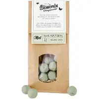 Blossombs Zaadbommetjes in Kraft Zak - 50 Bloembommetjes - Mintgroen - Cadeau voor Vlinders en Bijen