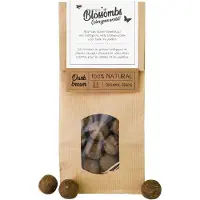 Blossombs Zaadbommetjes in Kraft Zak - 50 Bloembommetjes - Donker Bruin - Cadeau voor Vlinders en Bijen