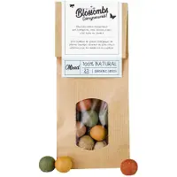 Blossombs Zaadbommetjes in Kraft Zak - 50 Bloembommetjes - Mix - Cadeau