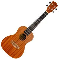 Pasadena SU024B Natural Concertukelele