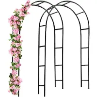 Gardebruk Rozenboog Set van 2 Zwart 240x140x37cm