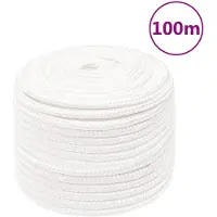 vidaXL Boottouw 12 mm 100 m polypropyleen volwit