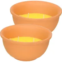Trendoz 2x Stuks anti muggen citronella kaars in terracotta pot 13 cm - Waxinelichtjes