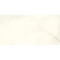 Douglas & Jones Vloertegel magnum 60x120 cm marmerlook gerectificeerd 6 mm mat onyx blanche