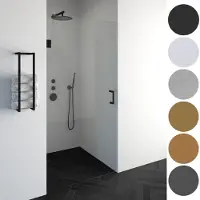 Brauer Void nisdeur helder glas 80x200 omkeerbaar incl. glascoating PVD goud geborsteld