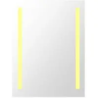 Plieger Two spiegel met LED verlichting verticaal 60x80cm