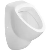 Sapho Urinoir aqualine 39x56.3 cm verborgen inlaat en afvoer keramiek wit