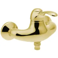 Sapho Kirké Wandgemonteerde douchemengkraan, goud