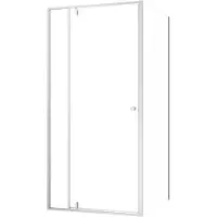Sealskin - Douchedeur + Zijwand Contour 100 X 200cm - Geborsteld Staal Profiel - 6 Mm Helder Glas