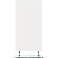 Sapho Badkamerspiegel wega 50x80 cm met planchet glas