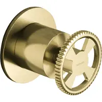 Hotbath Inbouwkraan cobber @work met 2-weg omstel geborsteld messing pvd
