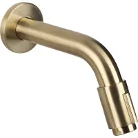 Differnz Muurkraan - Koud Water - Wastafelkraan - 11 cm - Mat Goud