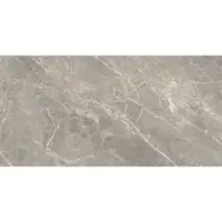 Douglas & Jones Vloertegel magnum 60x120 cm marmerlook gerectificeerd 6 mm geglazuurd gris