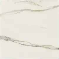 Douglas & Jones Vloertegel magnum 120x120 cm marmerlook gerectificeerd 6 mm mat cal gold