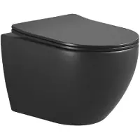 Boss & Wessing Wandcloset bws zuko 48 cm mat zwart met softclose zitting
